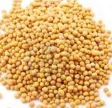 Mustard seeds yellow 100g - Click Image to Close